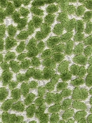 Jelly Beanz 232 Palm Covington Fabric